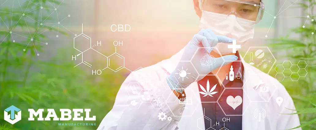 How to Get into the Cannabis Everything You Need To Know
