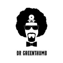 Dr. Greenthumb Strain