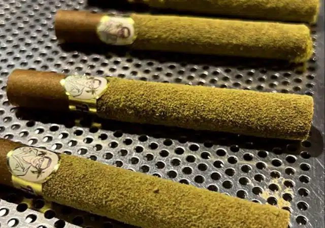 infused-pre-roll-blunt-contract