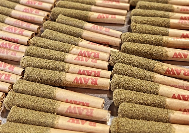 kief-Infused-pre-roll-joints