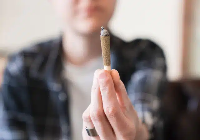 pre-roll-mini-joints-manufacturing