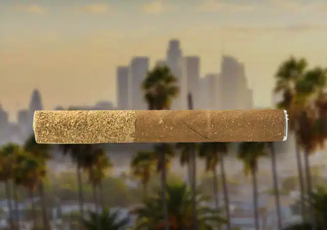 pre-rolled-blunt-california