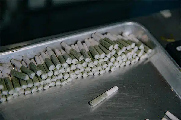Pre Rolled Joints